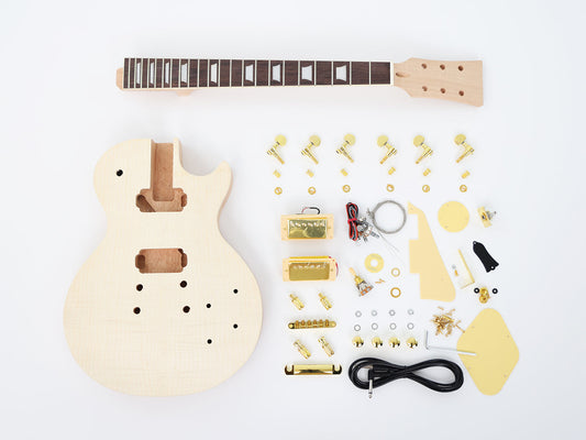 LP Standard DIY Electric Guitar Kit (SDD-628, Limited Edition)