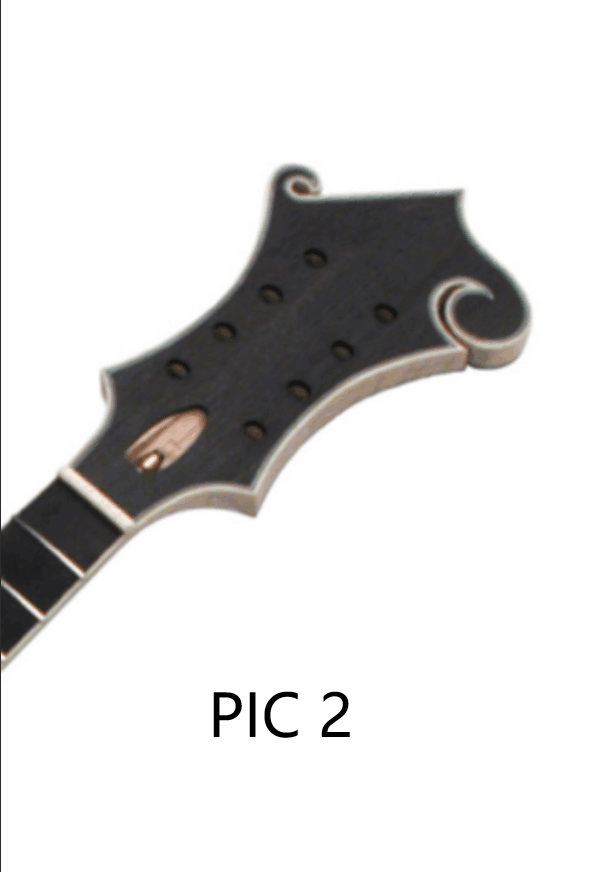 2 Custom Design DIY Mandolin Kits ( 2024-07-22 )