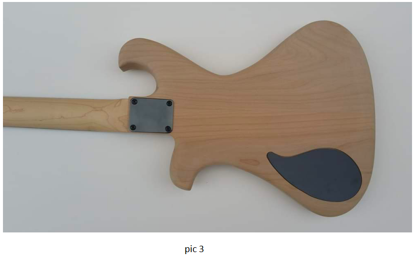 Custom Design Guitar (2023-09-26)